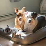 Gloria Downing - @gloria.downing.9 - Instagram