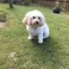 Gloria Dunn - @gloria.dunn85 - TikTok