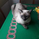 Aida Gloria Dutton Dutton - @ai.da3204 - Instagram