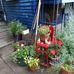 Gloria Dutton - Facebook