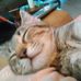 Gloria Earl - Facebook