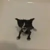 hehe - @earlgloria - TikTok