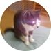 Gloria Eaves - Facebook