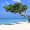 Gloria Reaves - @gloria.reaves3 - TikTok