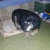Gloria Engelhardt - Facebook