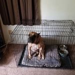 grandad - @gloriaestes433 - Instagram