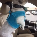 Gloria Flagg - @gloria.flagg - Instagram