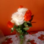 Gloria Forero - Facebook