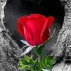 Gloria Forero - @gloria.forero45 - TikTok