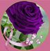 Gloria German - Facebook