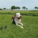 gloria grillo cruz - @gloriagrillocruz - Instagram