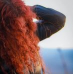 Gloria Guzzo - Facebook