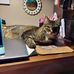 Gloria Hammer - Facebook