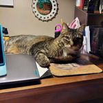 Gloria Hammer - @gthammer65 - Instagram