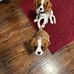 Gloria Hummer - Facebook