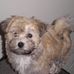 Gloria Hearn - Facebook