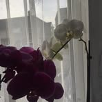 Gloria Hester - Facebook