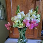 Gloria Doty High - @gloria.doty.98 - Instagram