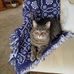 Gloria Hirsch - Facebook
