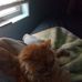 Gloria Hoffman - Facebook