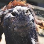 gloria hogan - @gloriahogan609 - Instagram