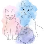 Jesse&Jinkx&Glória - @jesse_jinkx_gloria - Instagram