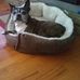 G Gloria Kemp - Facebook