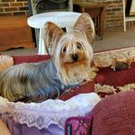 gloria key - @gloriakey37 - Instagram
