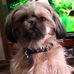 Gloria Klug - Facebook