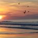 Gloria Knox - Facebook