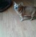 Gloria Koonce - Facebook