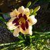 Gloria Kopp - Facebook