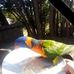 Gloria Koppe - Facebook