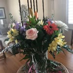 Gloria Koppers - @gloriakoppers - Instagram