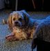 Gloria Kramer - Facebook