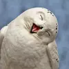 Gloria_Lance - @gloria_lance - TikTok