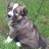 Gloria Lapointe - @user005571149 - TikTok