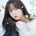 수원속눈썹 수원눈썹문신 고색동속눈썹 | 글로리아 - @gloria_lash_ - Instagram