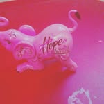 Gloria Laster - @lastergloria - Instagram