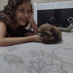 Glória Gomes Lauer Barbosa - @gloriagomeslauer - Instagram