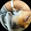 gloria902 - @gloriaklay - TikTok