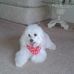 Gloria Lieberman - Facebook
