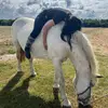 gloria.lilly_ - @gloria.lilly_ - TikTok