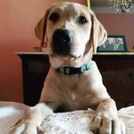 Gloria Mancini - @milu0748 - Instagram