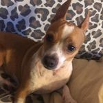 Gloria Mancini - @gloria.mancini.568847 - Instagram