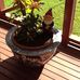Gloria Mayes - Facebook