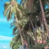 Gloria Mayo - @gloriameee - TikTok