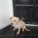 Gloria Meneses - Facebook