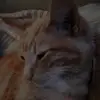 Gloria.Mosley - @gloriamosleyslvhnzwp - TikTok