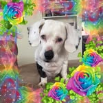 Gloria Nefferdorf - @glorianefferdorf - Instagram